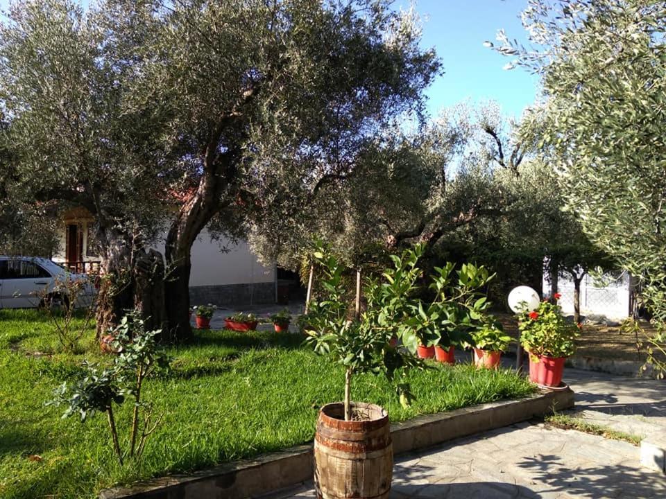 Villa Asimidou Agia Paraskevi  Exterior photo